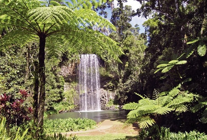Ostküste auf eigene Faust (Cairns - Brisbane, 12 Nächte) - Wasserfall, Queensland