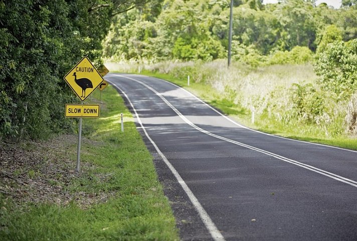 Ostküste auf eigene Faust - Strasse, Mission Beach
