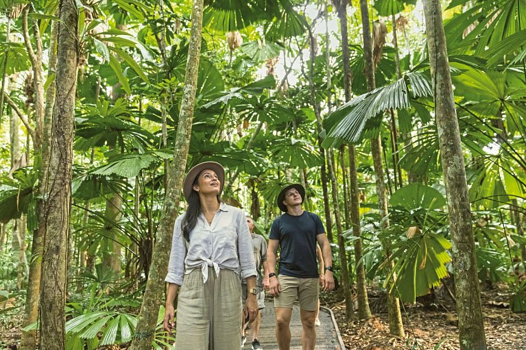 Reef & Rainforest - Daintree Nationalpark