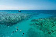 Reef & Rainforest - Great Barrier Reef