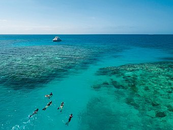 Reef & Rainforest - Great Barrier Reef