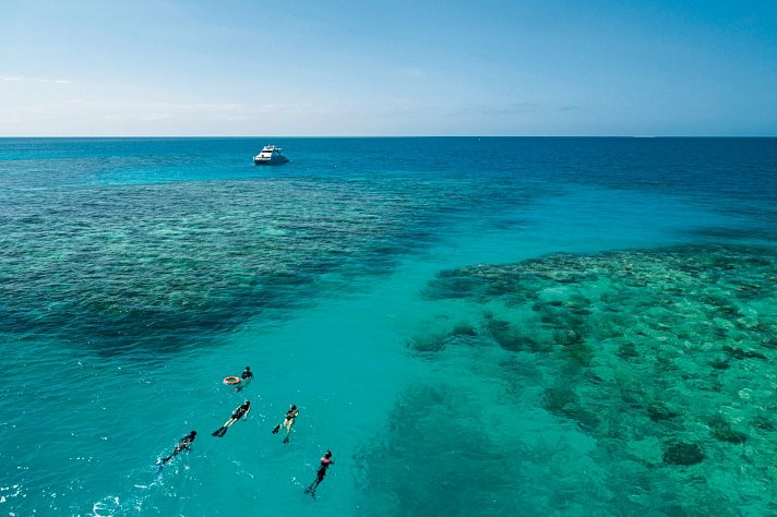 Reef & Rainforest