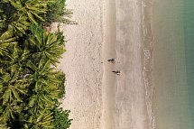 Reef & Rainforest - 4 Mile Beach