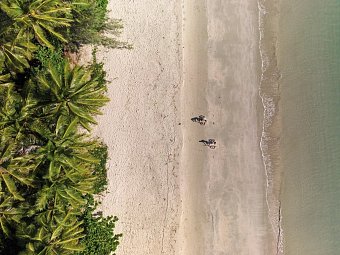 Reef & Rainforest - 4 Mile Beach