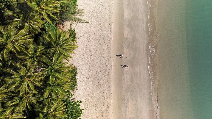 Reef & Rainforest