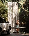 Reef & Rainforest - Millaa Millaa Falls