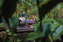 Reef & Rainforest - Daintree Eco Lodge
