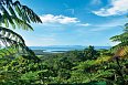 Reef & Rainforest - Thala Nature Reserve