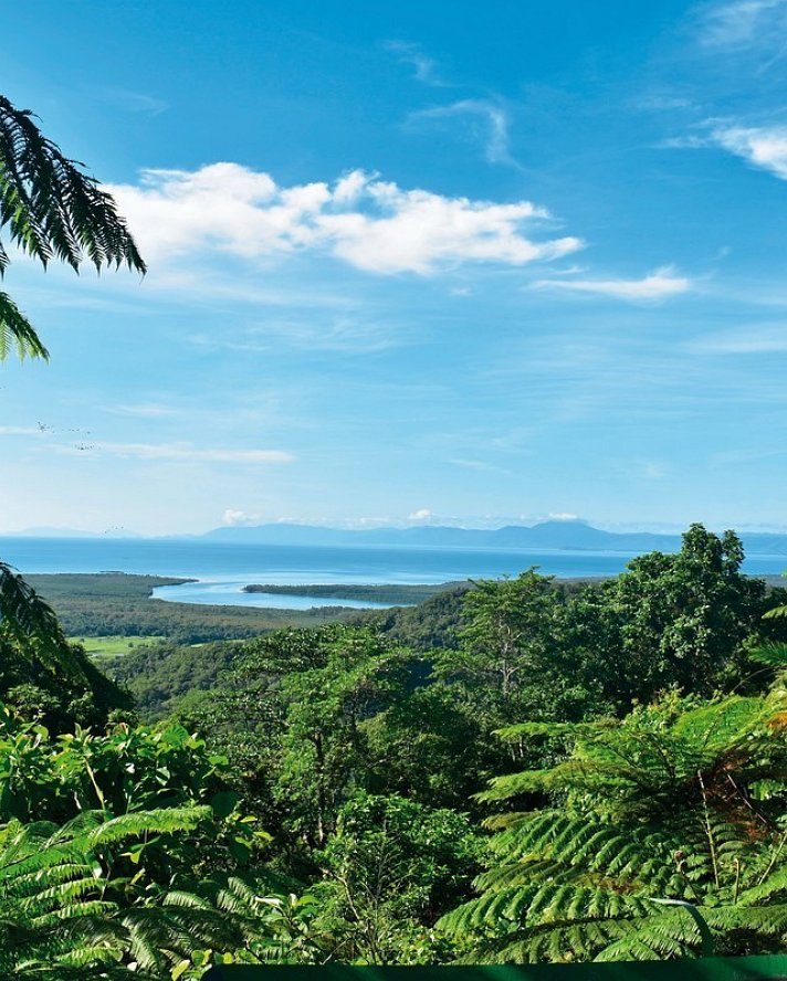 Reef & Rainforest