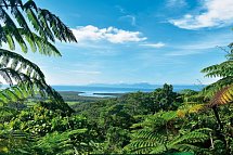 Reef & Rainforest - Daintree Nationalpark