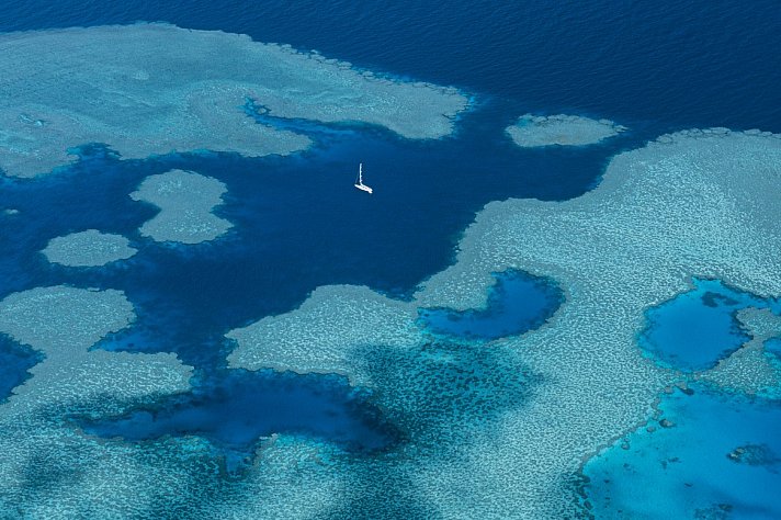 Reef & Rainforest
