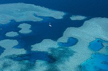 Reef & Rainforest - Great Barrier Reef