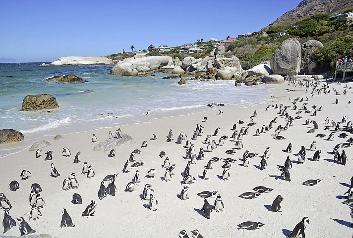 Go4South Africa - Erlebnisreise für die ganze Familie