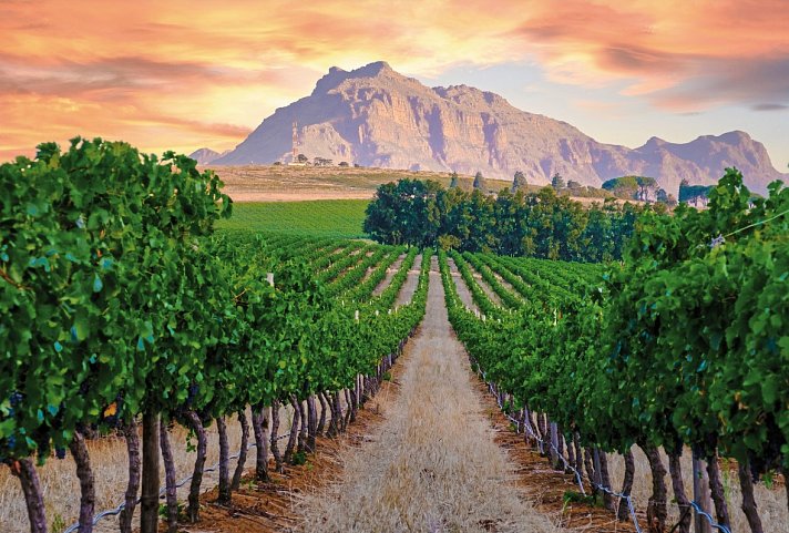 Südafrika - Die Highlights der Kapregion und Gardenroute erwandern