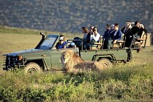 Facettenreiche Gartenroute (Autoreise) - Garden Route Game Lodge