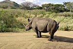 Klassisches Südafrika (ab Kapstadt/bis Johannesburg)