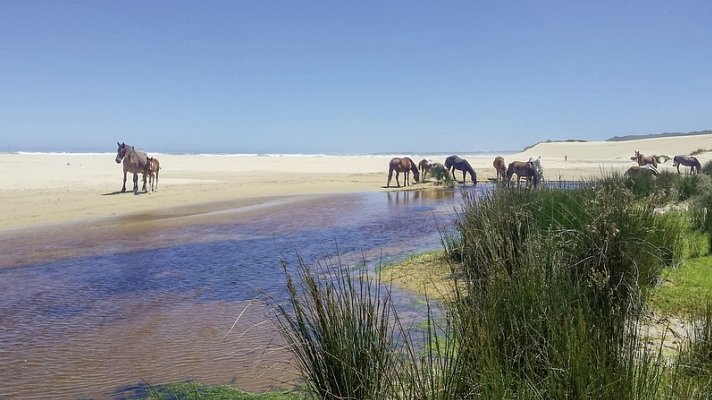 Gartenroute zum Verweilen