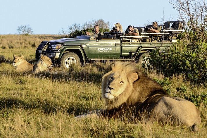Kap Sinfonie - Kleingruppenreise - Pirschfahrt im Kariega Game Reserve