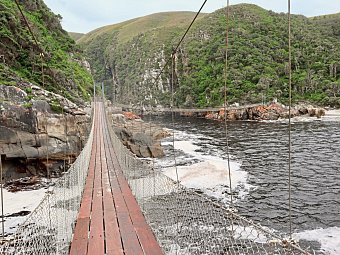 Kap Sinfonie - Kleingruppenreise - Tsitsikamma Nationalpark