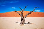 Drifters - Southern Africa Explorer Kapstadt - Maun