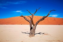 Drifters - Southern Africa Explorer Kapstadt - Maun - Dead Vlei