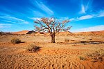 Drifters - Southern Africa Explorer Kapstadt - Maun