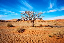 Drifters - Southern Africa Explorer Kapstadt - Maun - Namibia