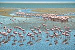 Drifters - Southern Africa Explorer Kapstadt - Maun