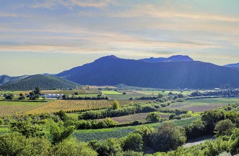 Wellness, Wein & wilde Tiere