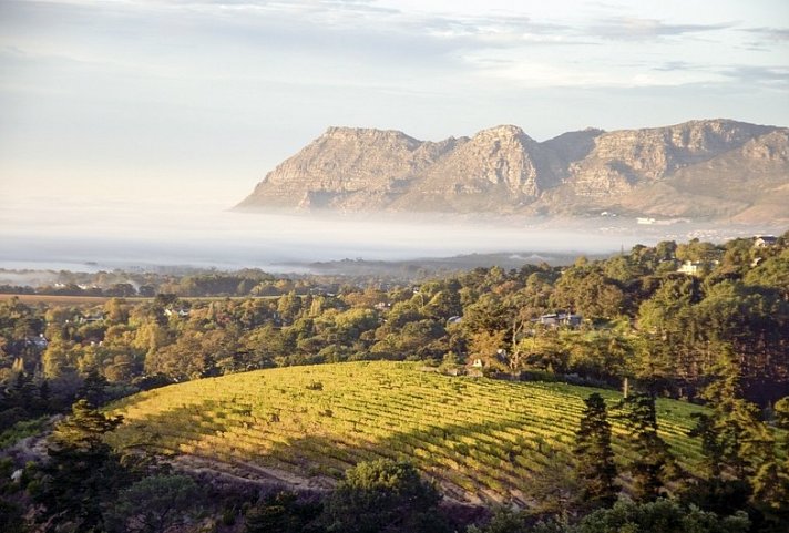 Faszination Gartenroute, Karoo und Addo (Teilstrecke) - Winelands