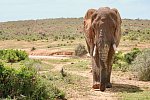 Faszination Gartenroute, Karoo und Addo (Teilstrecke)