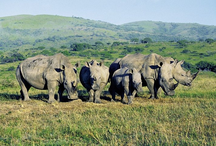 Erlebnis Gartenroute, Karoo & Addo