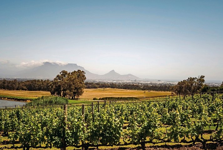 Erlebnis Gartenroute, Karoo & Addo - Weinregion
