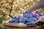 Autotour Kulinarisches Sizilien mit Wein und Köstlichkeiten - luxuriös erfahren