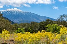 Tempel, reizvolle Landschaften und der Ätna (Premium-Variante) - Naturpark des Ätna