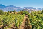 Genussreise Sizilien - Kulinarik, Wein & Tradition