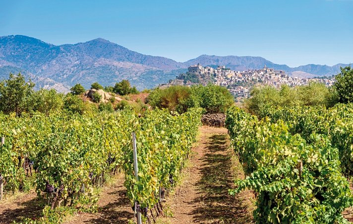 Genussreise Sizilien - Kulinarik, Wein & Tradition