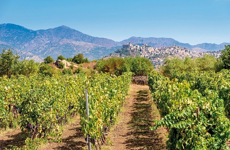 Genussreise Sizilien - Kulinarik, Wein & Tradition
