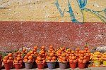 Cenoten, Meereswunder und Mayawelten