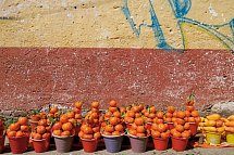 Cenoten, Meereswunder und Mayawelten