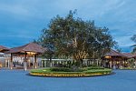 Banyan Tree Lang Co