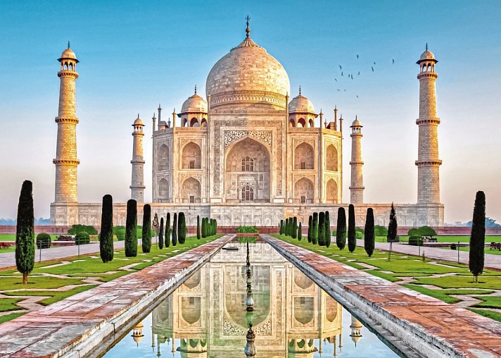 Tiger, Tempel, Taj Mahal