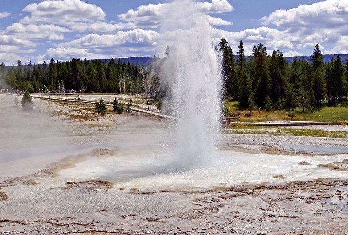 Durch die Rockies zum Pazifik - Yellowstone Nationalpark