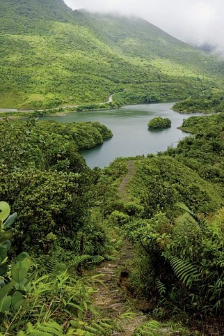 Wandererlebnis Dominica - Morne Trois Pitons NP
