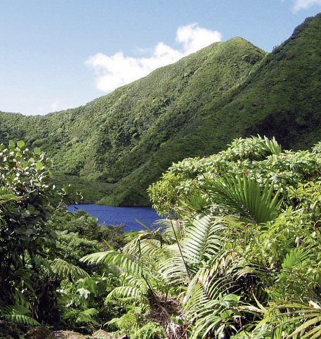 Wandererlebnis Dominica - Morne Trois Pitons NP