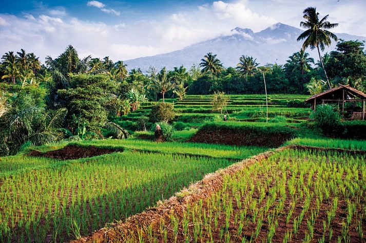 Bali intensiv (Privatreise) - Mount Rinjani, Senaru