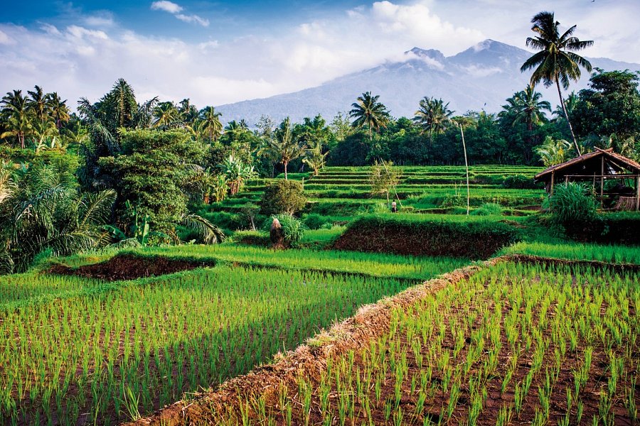 Bali intensiv (Privatreise) - Mount Rinjani, Senaru