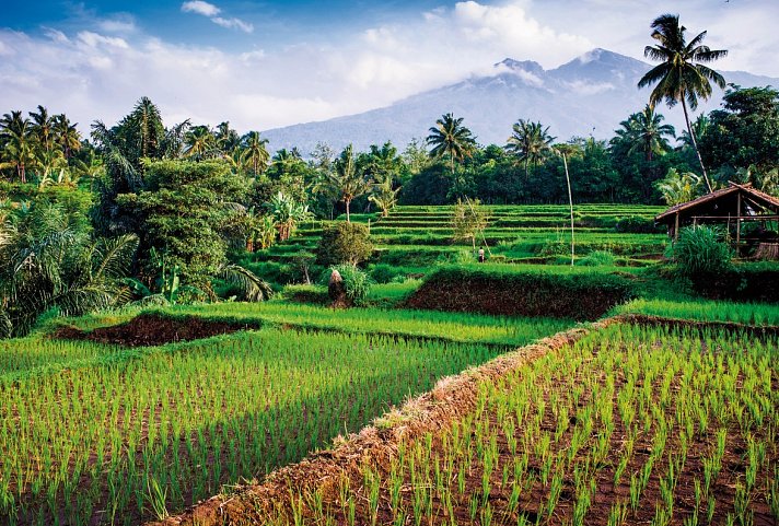 Bali intensiv (Privatreise) - Mount Rinjani, Senaru