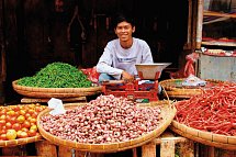 Abenteuer Westbali & Ostjava (Privatreise)
