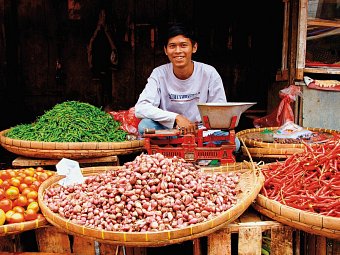 Abenteuer Westbali & Ostjava (Privatreise)